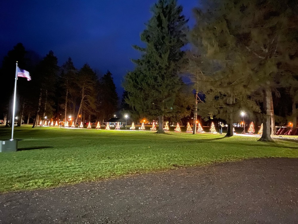 park trees