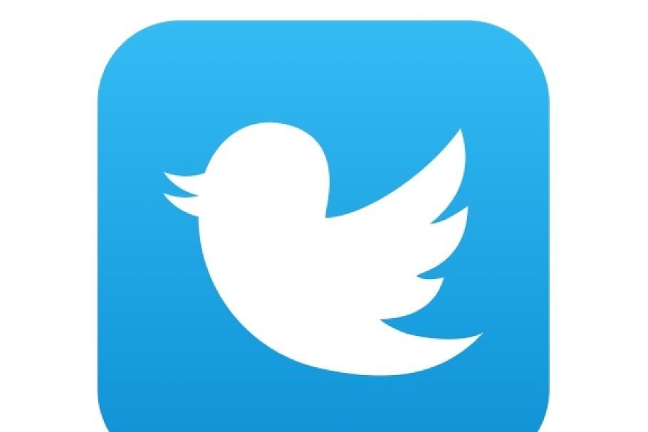 twitter bird