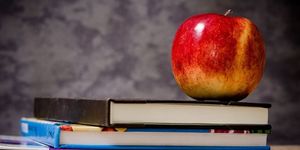 MEAL DISTRIBUTION DURING SCHOOL CLOSURE