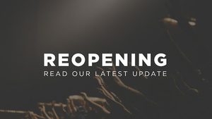 Superintendent Halsey reacts to governor's re-opening announcement